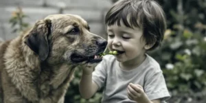 Do Dogs Eat Peas Everything You Need to Know