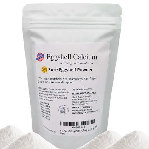 Eggshell Powder & Preparation