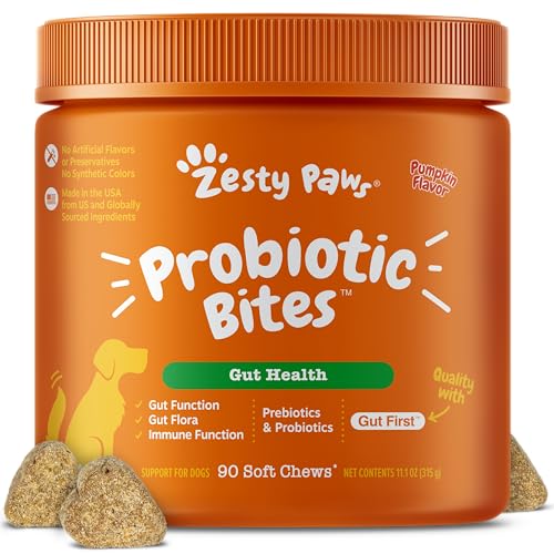 Understanding Dog Probiotics and Digestive Enzymes