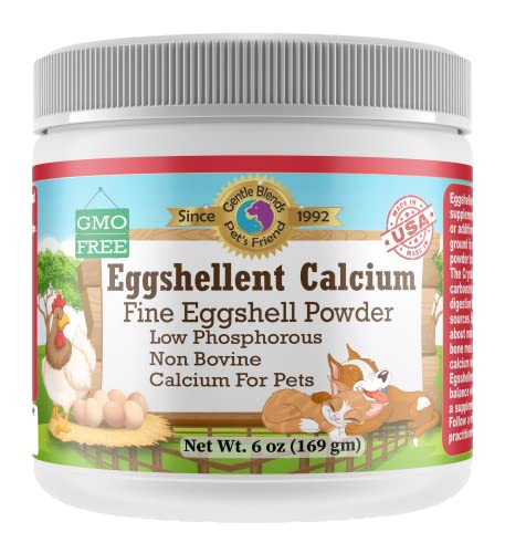 Eggshell Powder vs Calcium Supplements for Dog Health