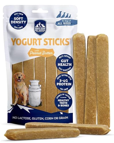 Safe Yogurts for Dogs