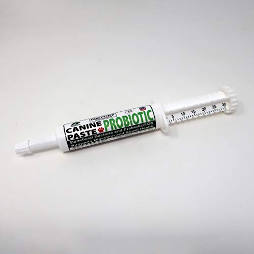 Comprehensive Dog Probiotic Paste Review for Gut Health