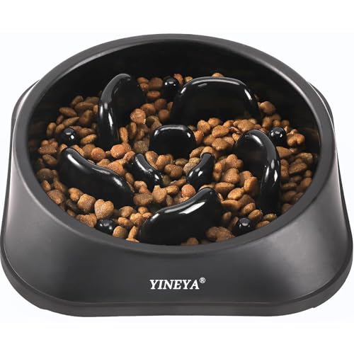Comprehensive Slow Feeder Dog Bowl Review for Your Pet