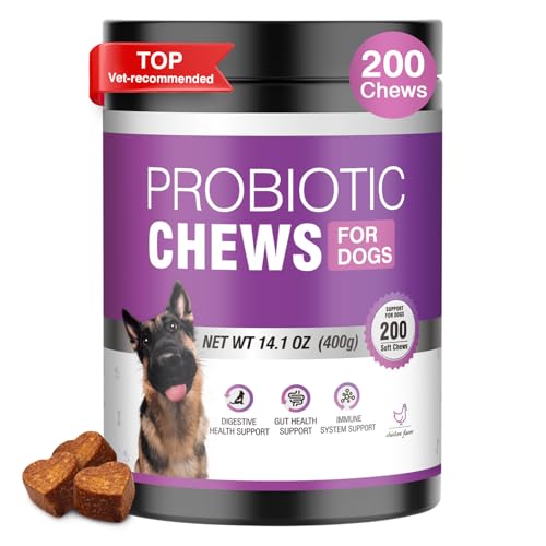 Comprehensive Dog Probiotic Chews Review for Digestive Health