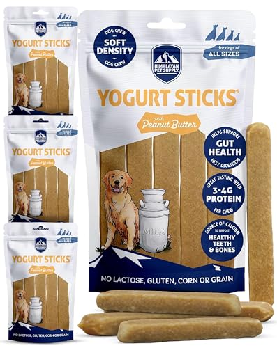 Safe Ways to Give Yogurt to Your Dog