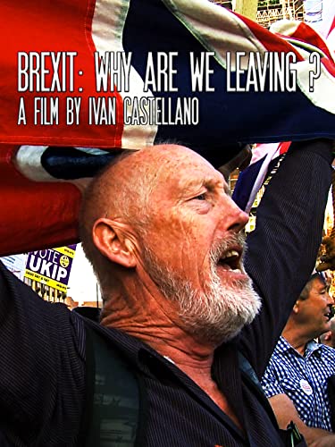 Understanding Why Your Dog Might Eat Flies