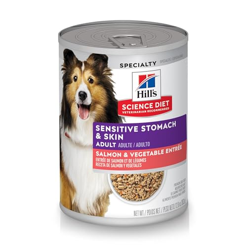 Comparing Wet and Dry Dog Food for Sensitive Stomachs