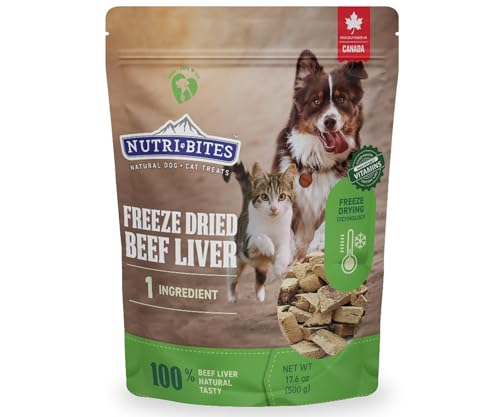 Comparing Freeze Dried Dog Treats and Jerky Treats