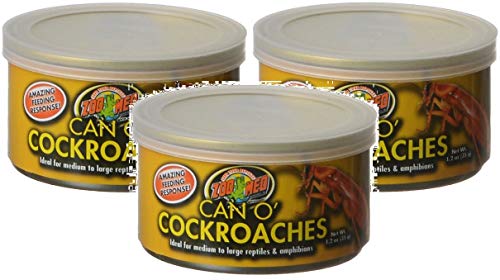 Understanding If Dogs Can Eat Cockroaches Safely