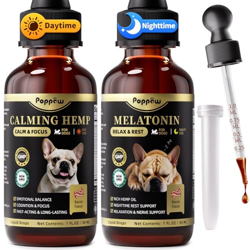 Calming Chews vs Drops for Dogs: Which is Right for Your Pet?