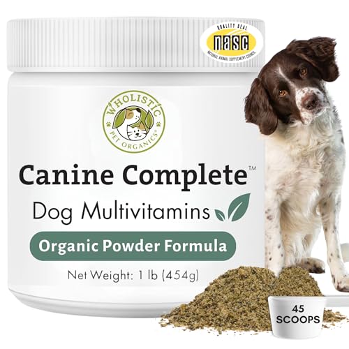 Food Topper vs Multivitamin for Homemade Dog Food Explained