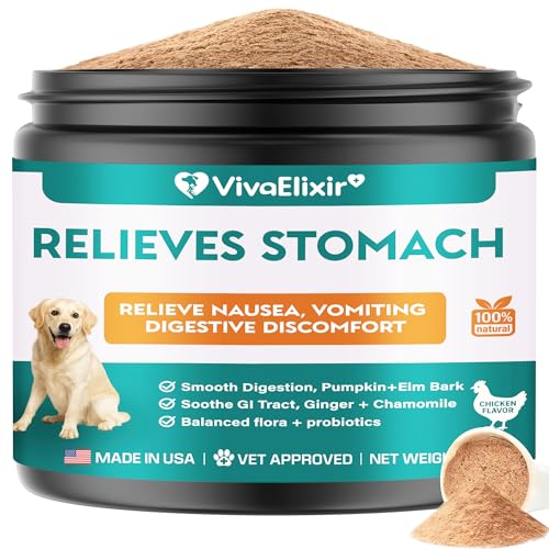 Human Foods That Can Upset Your Dog’s Stomach