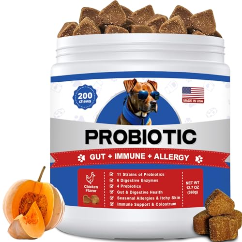 Comparing Plain Greek Yogurt and Probiotic Chews for Dogs