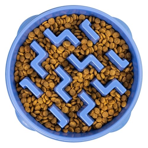 Essential Tips for Choosing a Slow Feeder Bowl