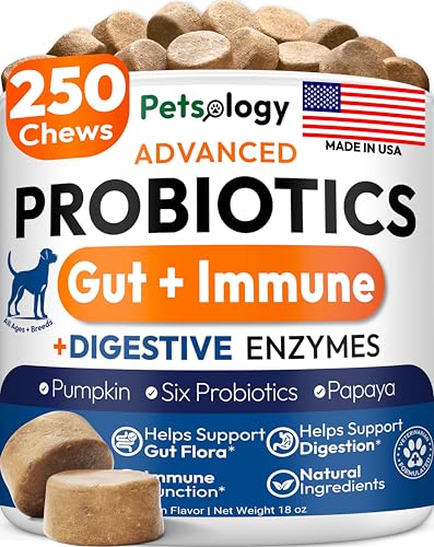 Essential Tips for Choosing a Probiotic for Your Dog