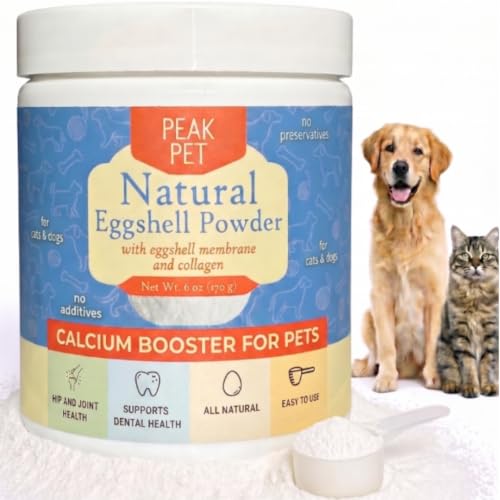 Understanding the Safety of Egg Shells for Dogs