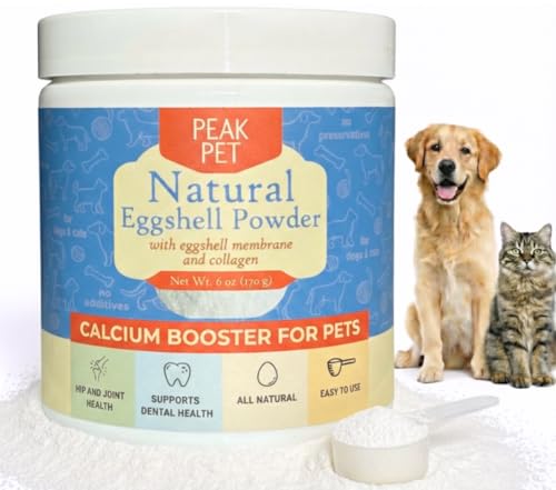 Are Egg Shells Good or Bad for Dogs? A Comprehensive Guide