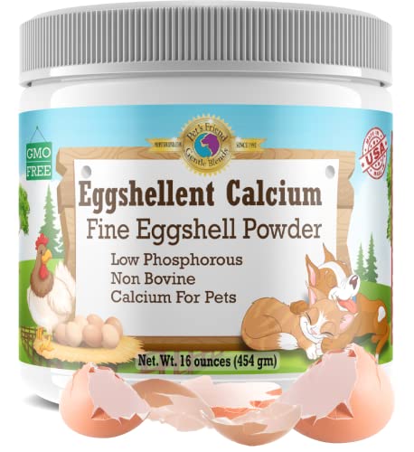 Benefits of Raw Egg Shells for Dogs: A Nutritional Guide