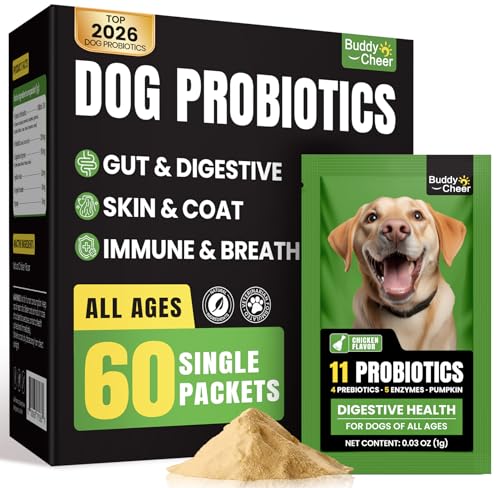 Probiotic Powder vs Chews for Dogs: Which is Better?