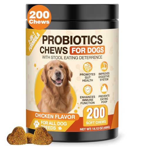 Probiotic Powder vs Probiotic Chews for Dogs: Key Differences