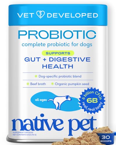 Understanding Dog Food Toppers and Probiotic Supplements