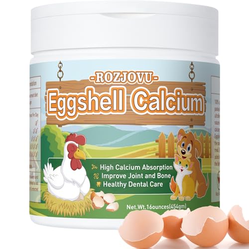 Can You Safely Feed Your Dog Egg Shells for Nutrition