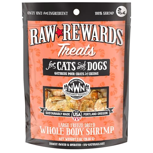 Is Raw Shrimp Safe for Dogs? A Comprehensive Guide